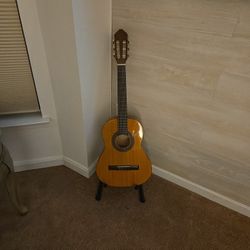Guitar