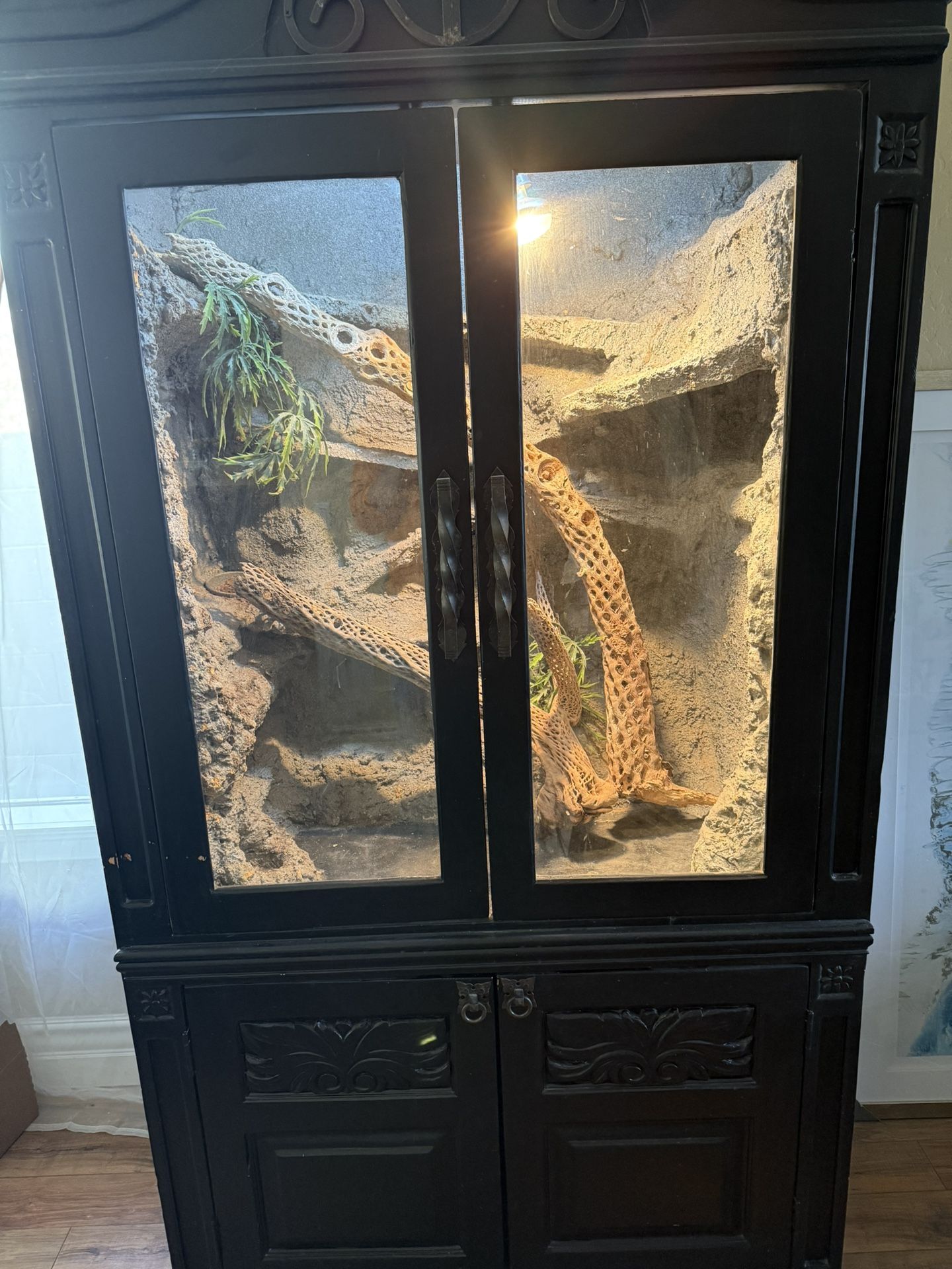 Reptile Enclosure
