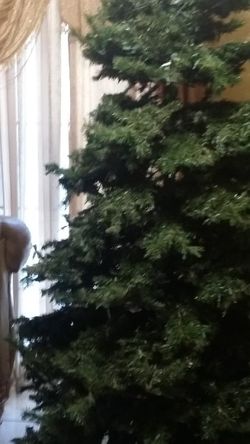 7.5 Prelit Christmas Tree Xmas Tree , Stand And Bag White Colored Lights
