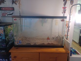 29g Aqueon Glass Aquarium