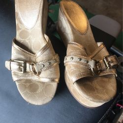 Zapatillas