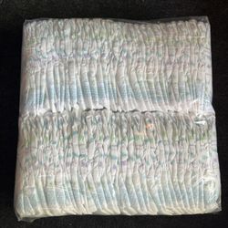 Kirkland Size 1 Diapers 