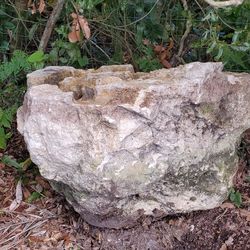 Stone