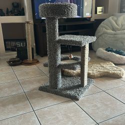 Brown Cat Tower 