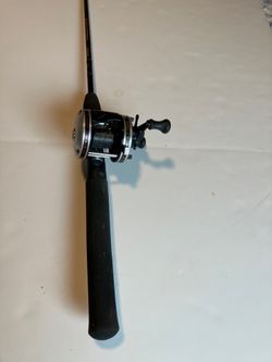 Casting rod and reel - Ambassadeur 5500-C3 reel, Berkley Gorrilla stick rod