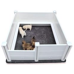 Whelping Box