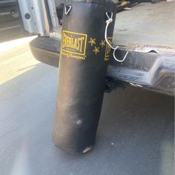 Everlast Choice Of Champions