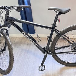 29” Cannondale Bike 