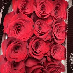 Ecuadorian roses wholesale