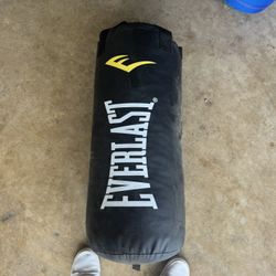 Punching Bag 