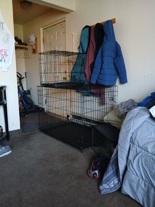 New Gog Cages Can Bring For Extra Buck