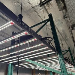 Gavita LED lights