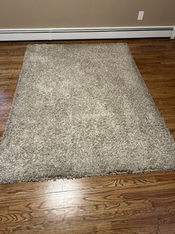 Area Rug