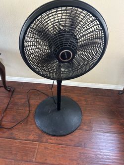Lasko Black Pedestal Standing Fan