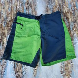 Patagonia Shorts Size 34