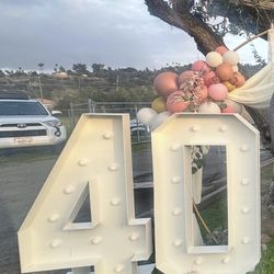 40 Light Up Numbers 