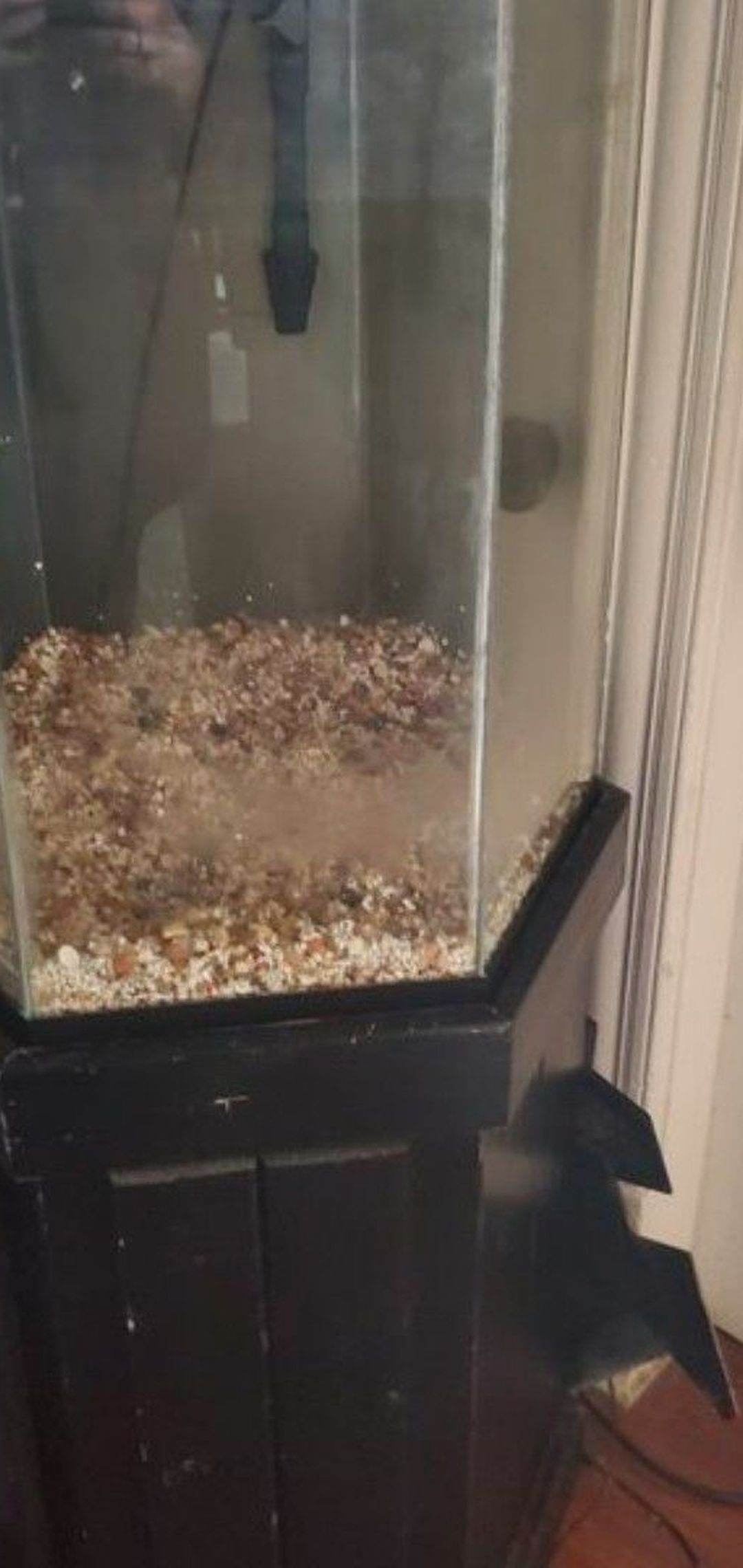 Fish tank comes with rocks