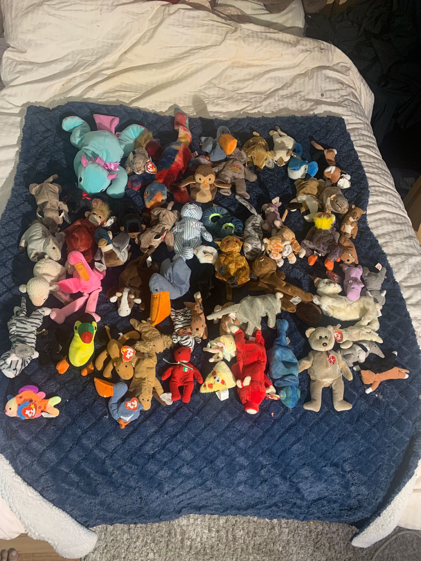 Vintage Ty Beanie Baby Collection