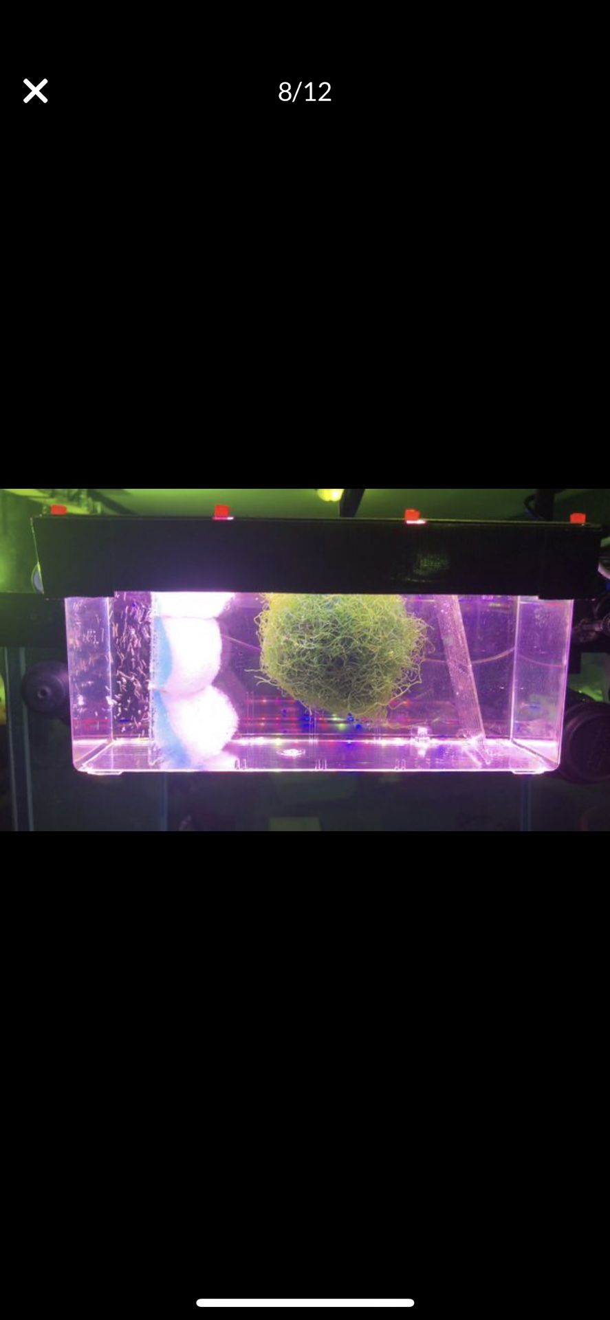 Custom Hang on Back Macro Algae and Java Moss Reactor Filter for Salt and Fresh Water Aquariums low nitrate and phosphate automatically in fish tank