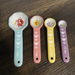 The Pioneer Woman Ceramic Measuring Spoon Set, New