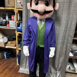 🎉 USED LUIGI MASCOT COSTUME – ADULT SIZE 🎉  👨‍🔧 Character: Luigi (Mario Bros) 📦 Condition: Used – what you see in the pictures is what you get 💲
