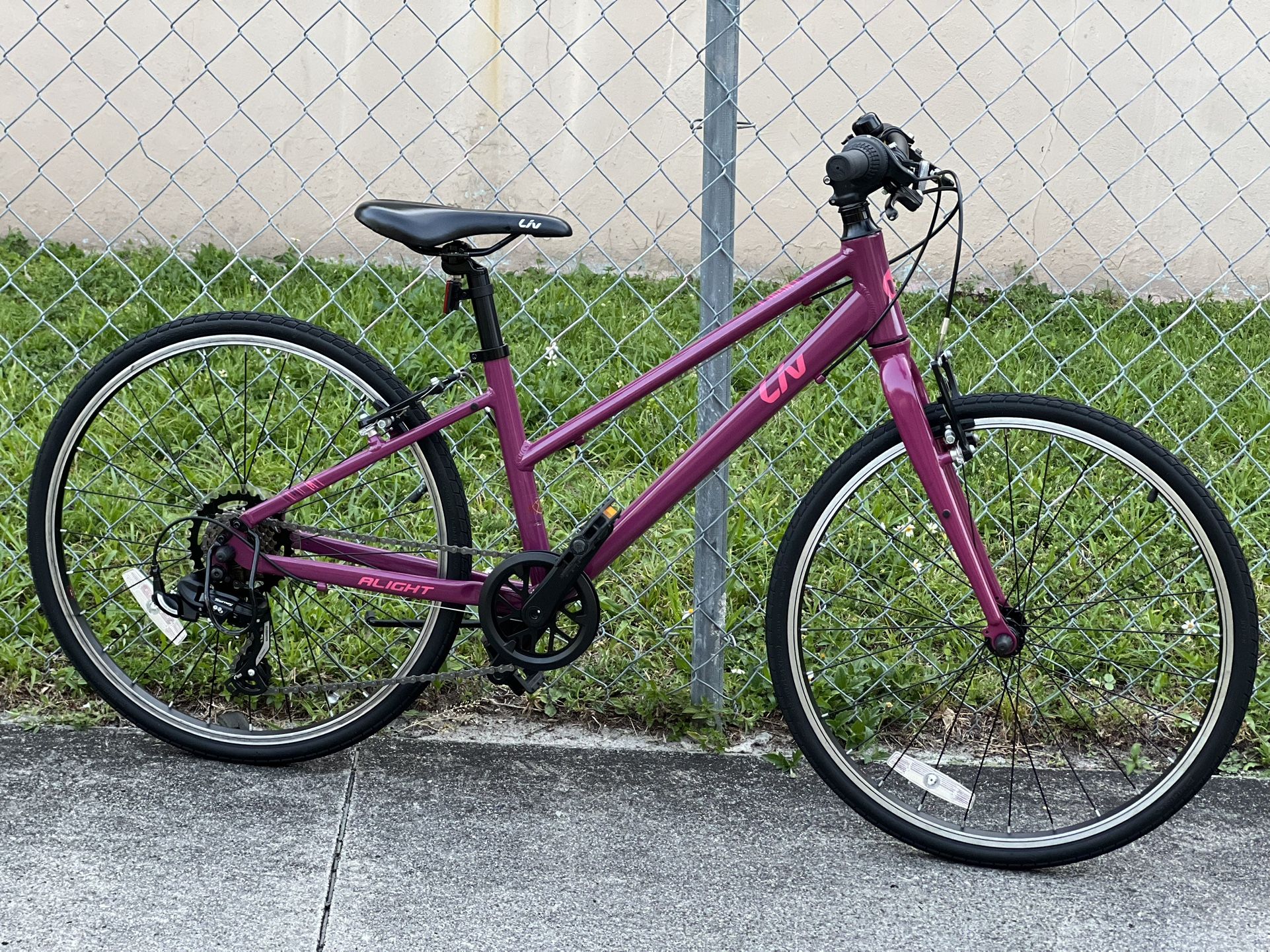 Giant Liv Alight 24” Kids Bike