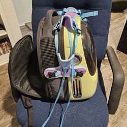 Cat backpack & a harness