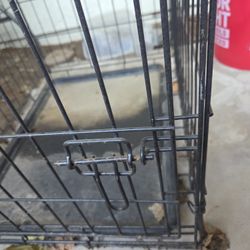 Dog Cage