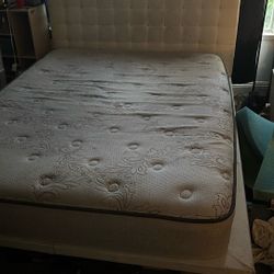 Free Bed 