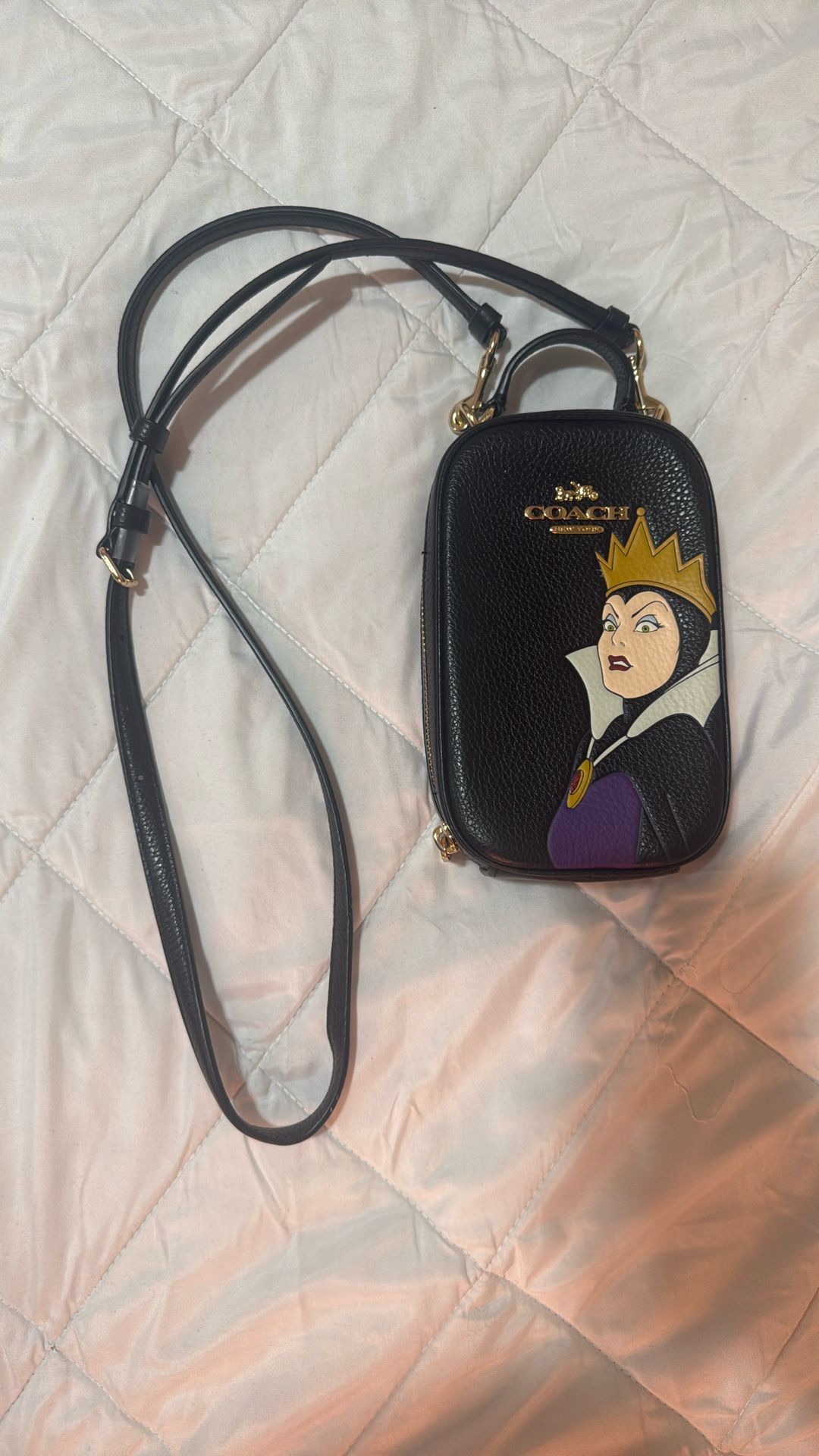 Coach Disney Purse