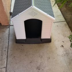 Dog House