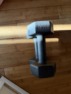 15lb Dumbbell