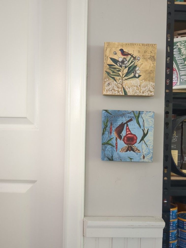 2 Adorable Bird Canvsas