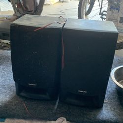 Studio Speakers