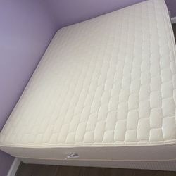 Natural Latex Mattress Queen 