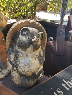 Old Asian panda bear