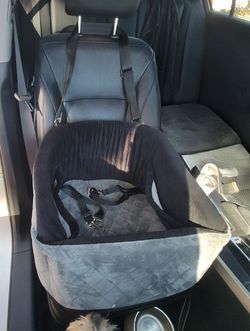 New Pet Carseat/Travel Bed