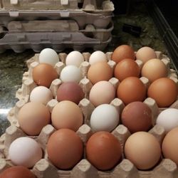 Fresh Farm Eggs - Monroe
