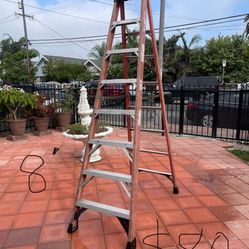 Excellent condition, five glass ladders