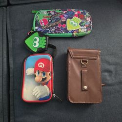 Nintendo Switch Lite And 3DS Cases