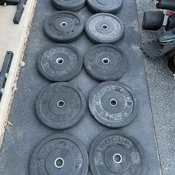 Rogue 260lb Hi Temp Olympic Weight Plate Set 10-45