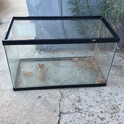 20 Gallon tank reptile Tank