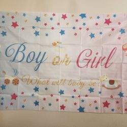 Baby gender reveal backdrop $7