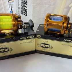 Brand New Penn International 70vs 