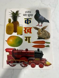 Hindi Alphabet Book for Kids