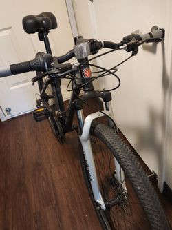 Schwinn ascension 29