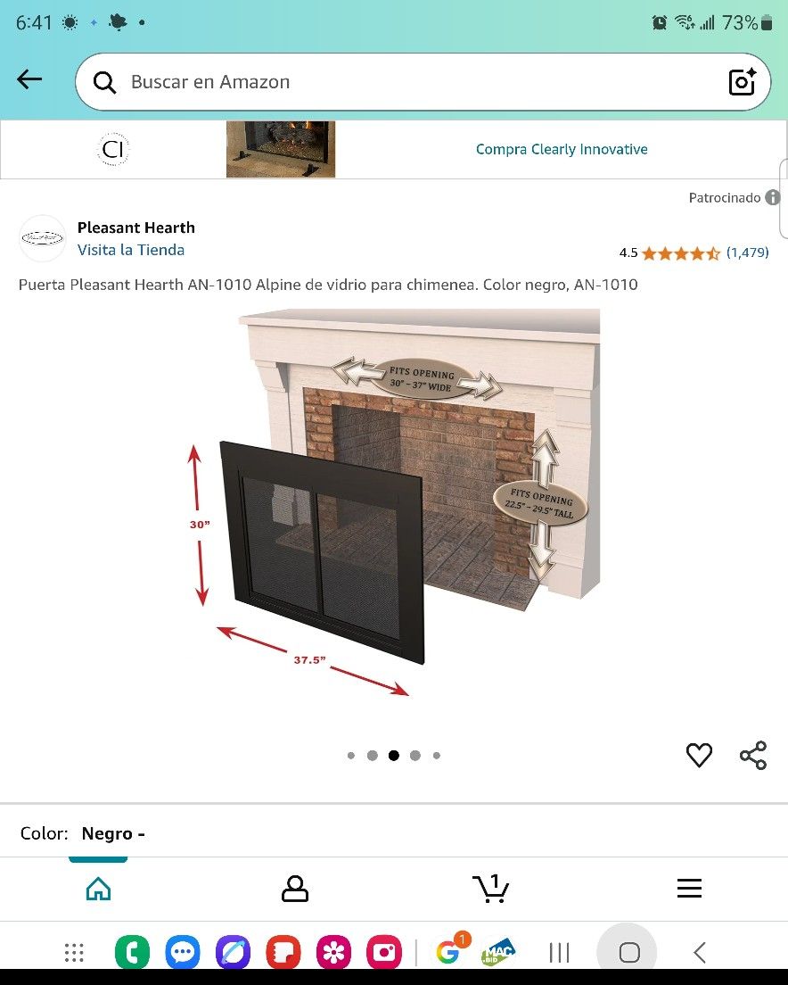 Fireplace door