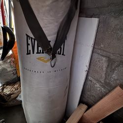 Everlast Punch Bag 100 Lbs