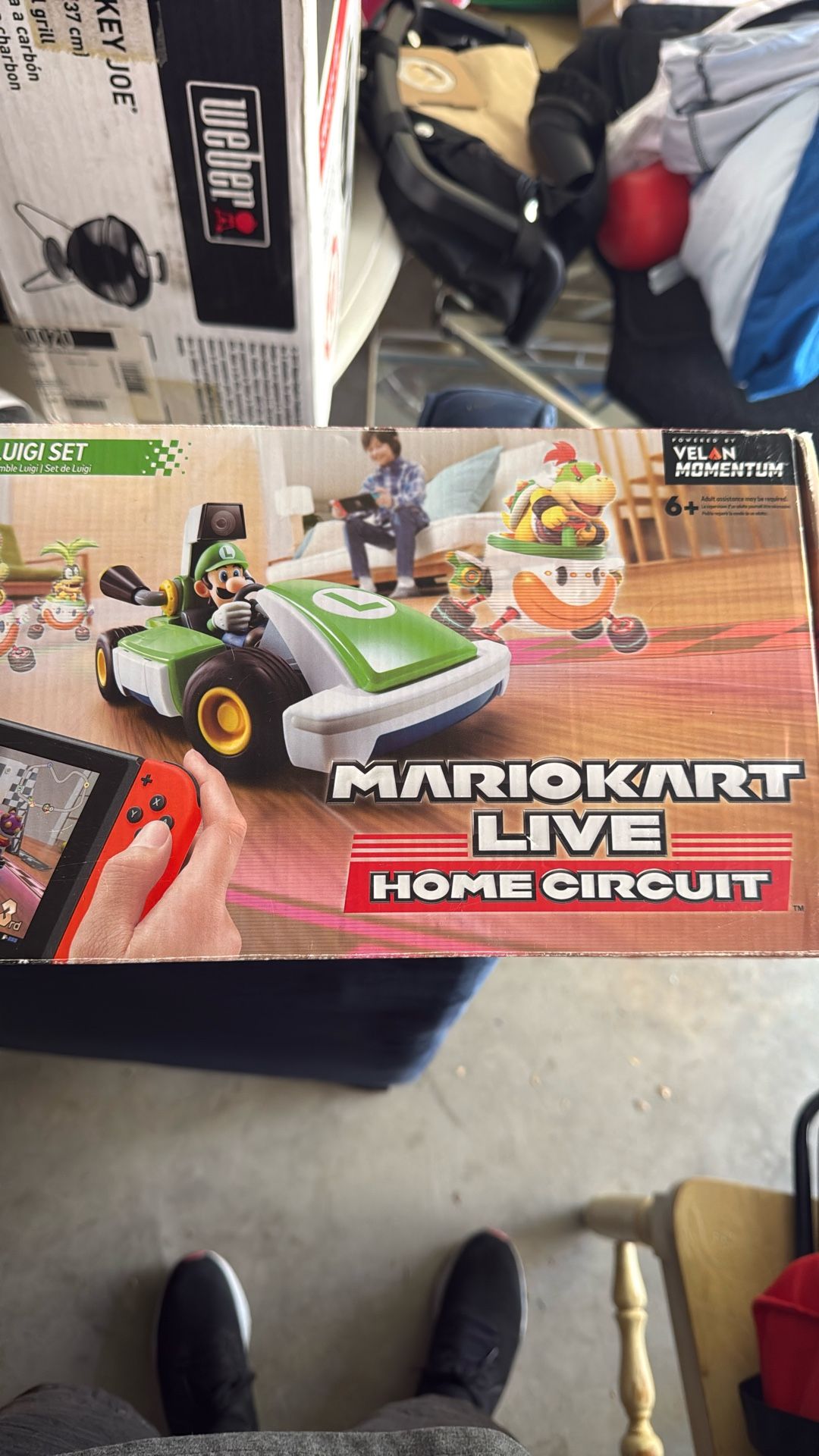 Mario Kart Live: Home Circuit Luigi