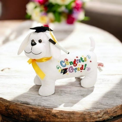 GRADUATION PLUSH BUNDLE